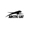 Снегоходы Arctic