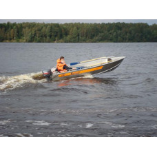Алюминиевая лодка Wellboat 46