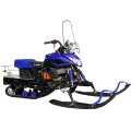 Снегоход Irbis Dingo T150 NEW в Москве